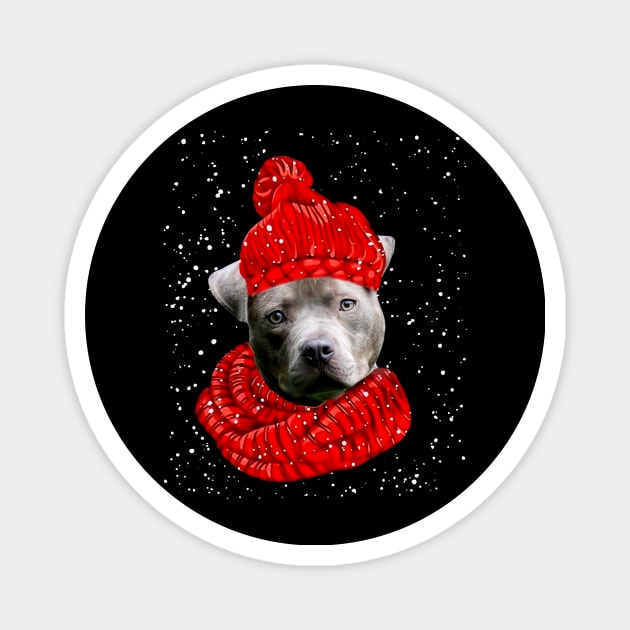 Pitbull Wearing Red Hat And Scarf In Snow Christmas Magnet by Vintage White Rose Bouquets